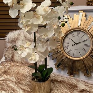 Meet your Posher, Malak